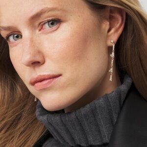 WHBM Mixed Media Linear Earrings